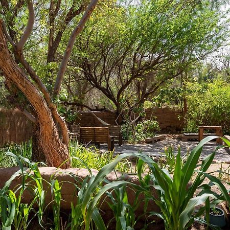 Vientos - La Yareta Konuk evi San Pedro de Atacama Dış mekan fotoğraf
