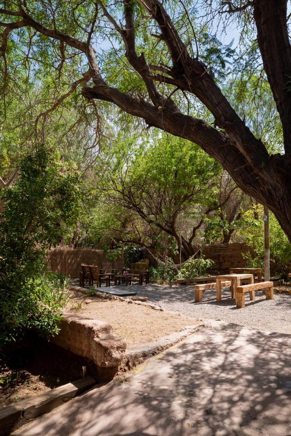 Vientos - La Yareta Konuk evi San Pedro de Atacama Dış mekan fotoğraf